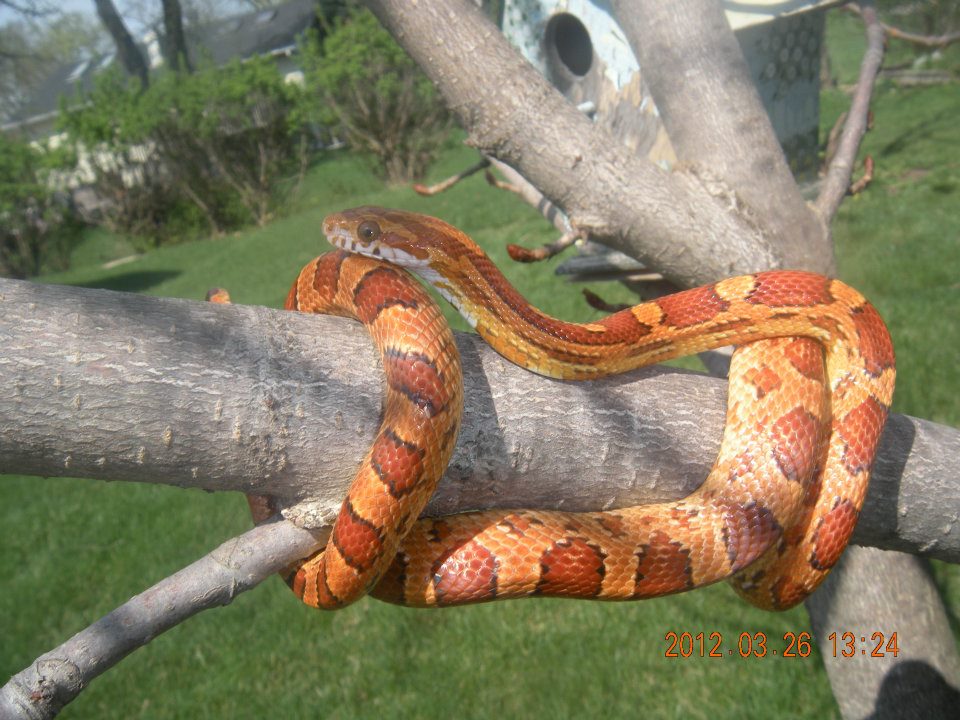 Some Infinities.. are Bigger than Other Infinities (I Miss&nbsp;You)