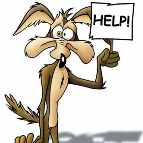 You May Call Me Wile E. Coyote. (Meep&nbsp;Meep)