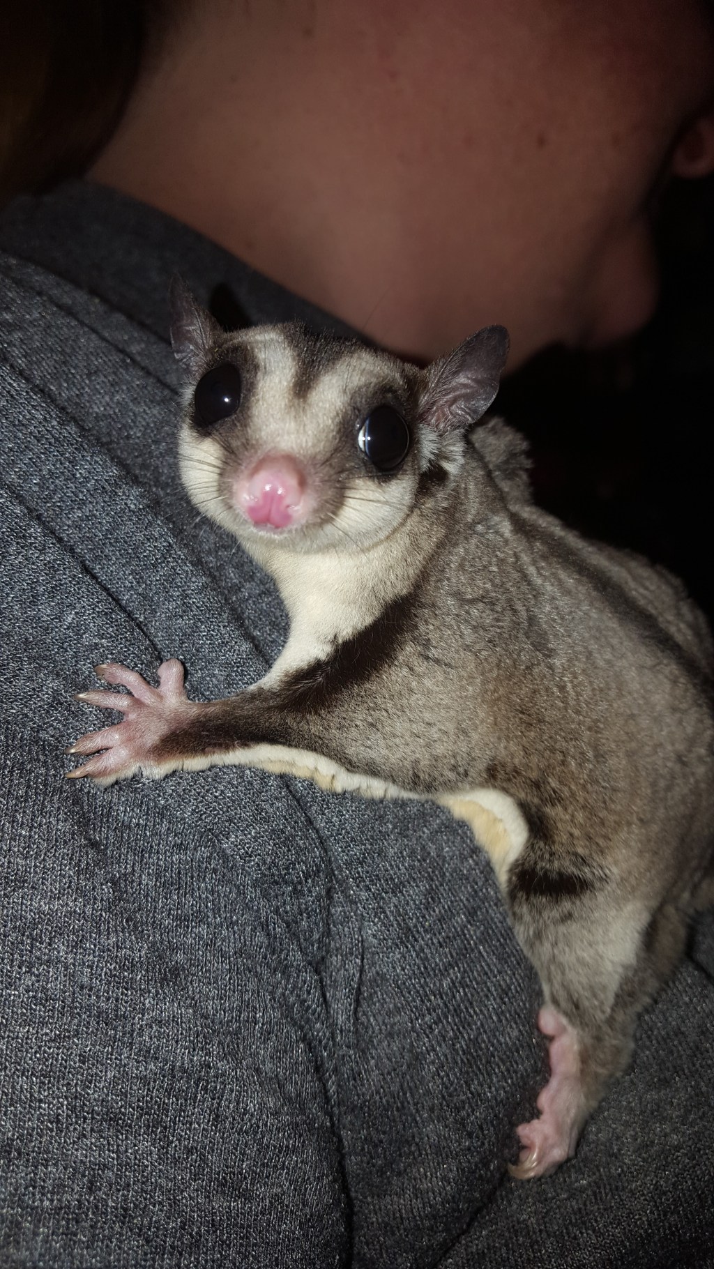 12-Days of Critmiss Day #9: Give Me Some&nbsp;Sugar!