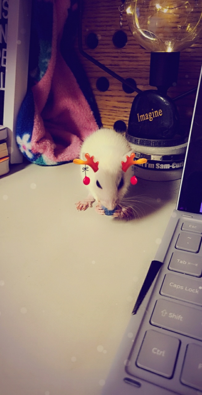 12-Days of Critmiss: Day&nbsp;#6