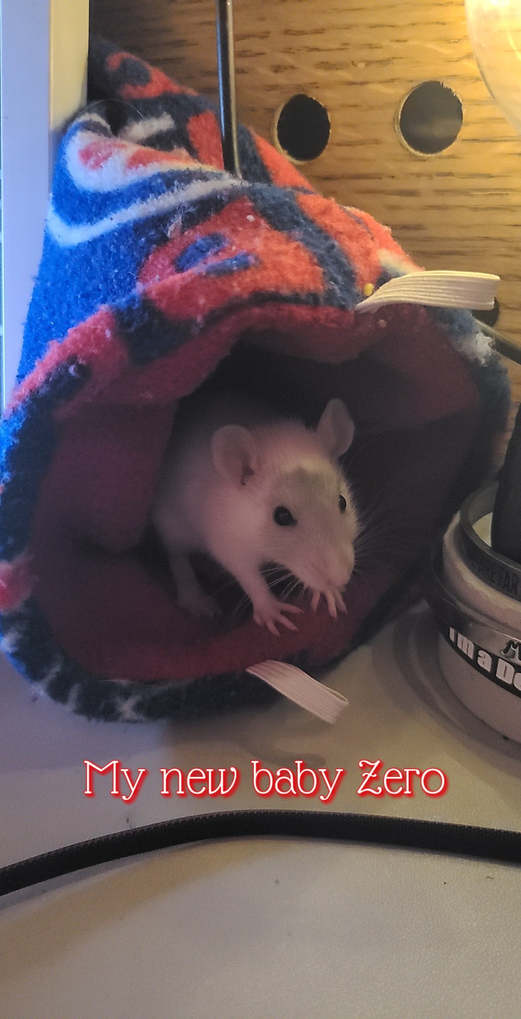 The Unlikeliest of&nbsp;Friends.