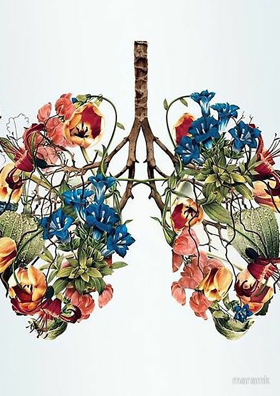 6-Hour ER Trips, Potato Soup, &&nbsp;7up.