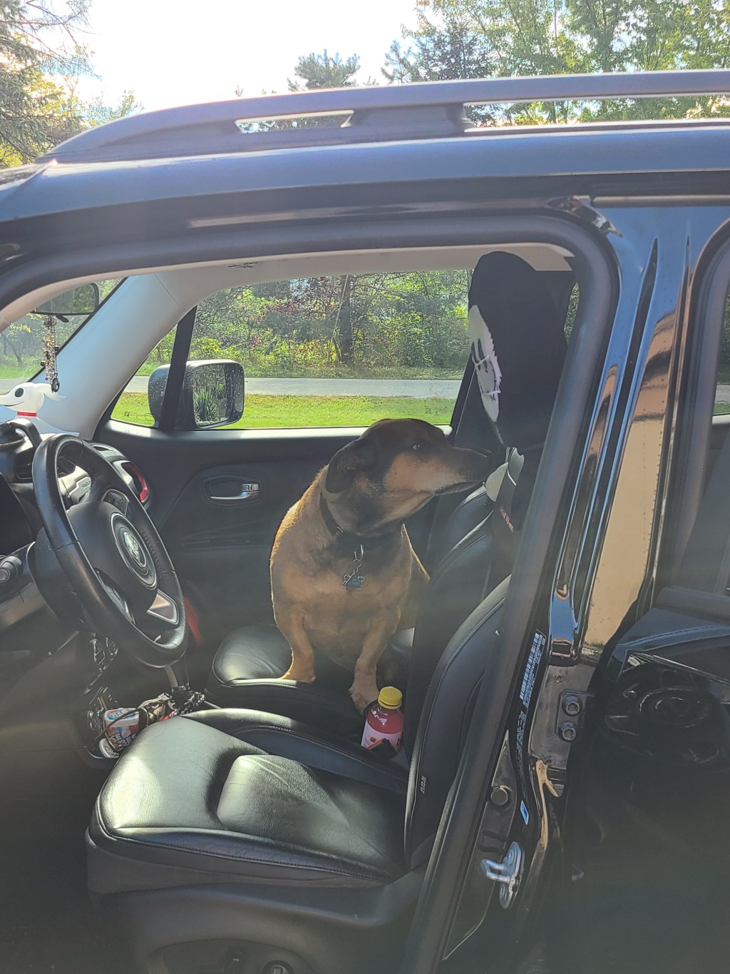 Reading, Writing, & Other Nightmare&nbsp;Madness.