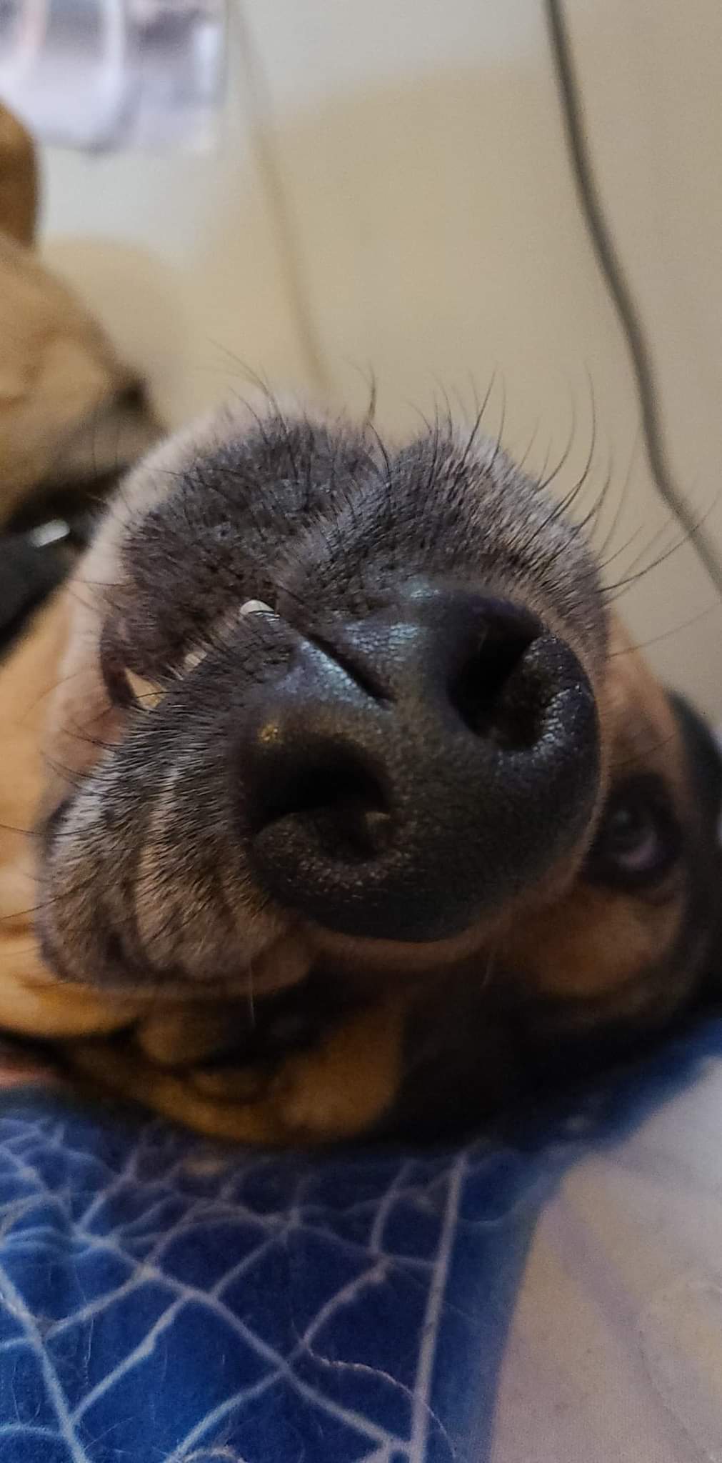 Three Days of Camp NaNoWriMo Are Behind&nbsp;Us: