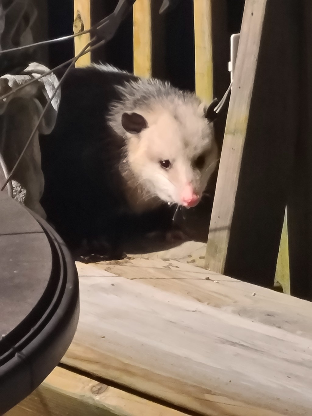 And Then Not Gently at All… Autumn Fell into&nbsp;Winter.