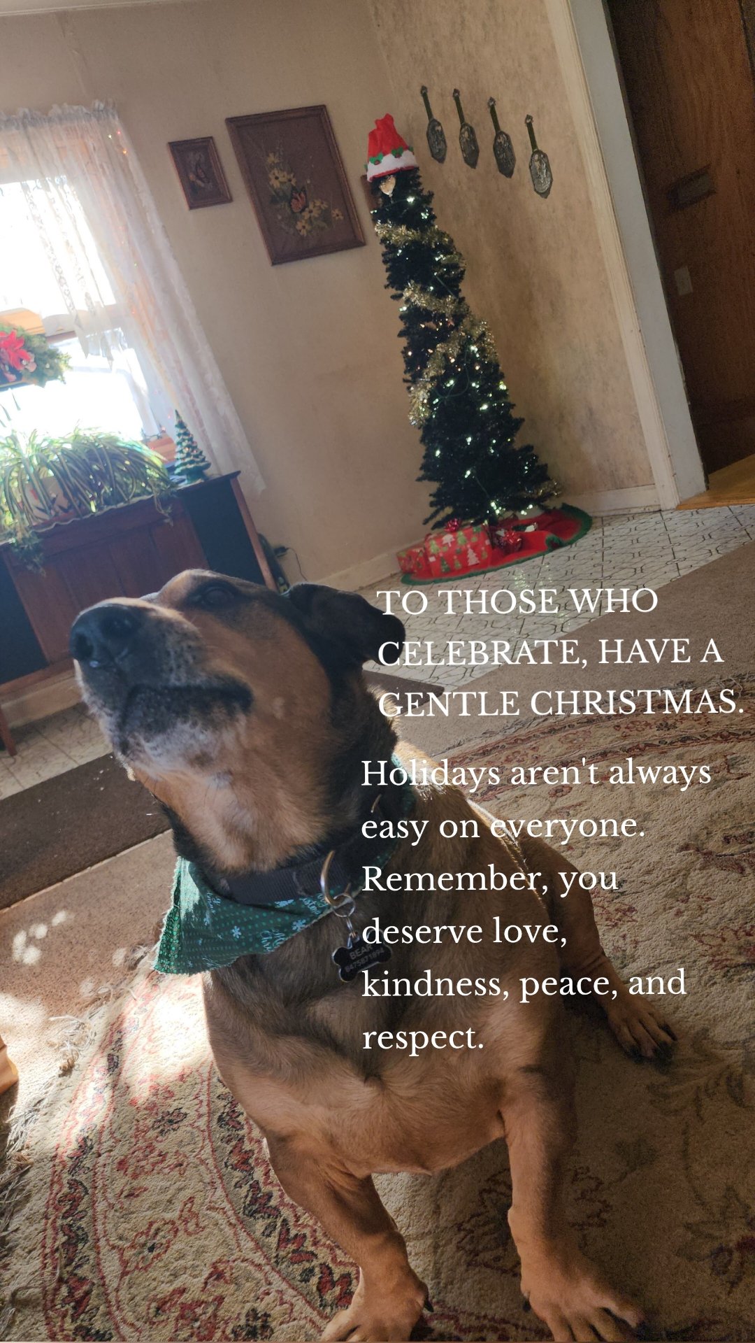 TO THOSE WHO CELEBRATE, HAVE A GENTLE CHRISTMAS.  Holidays aren't always easy on everyone. Remember, you deserve love, kindness, peace, and respect. 