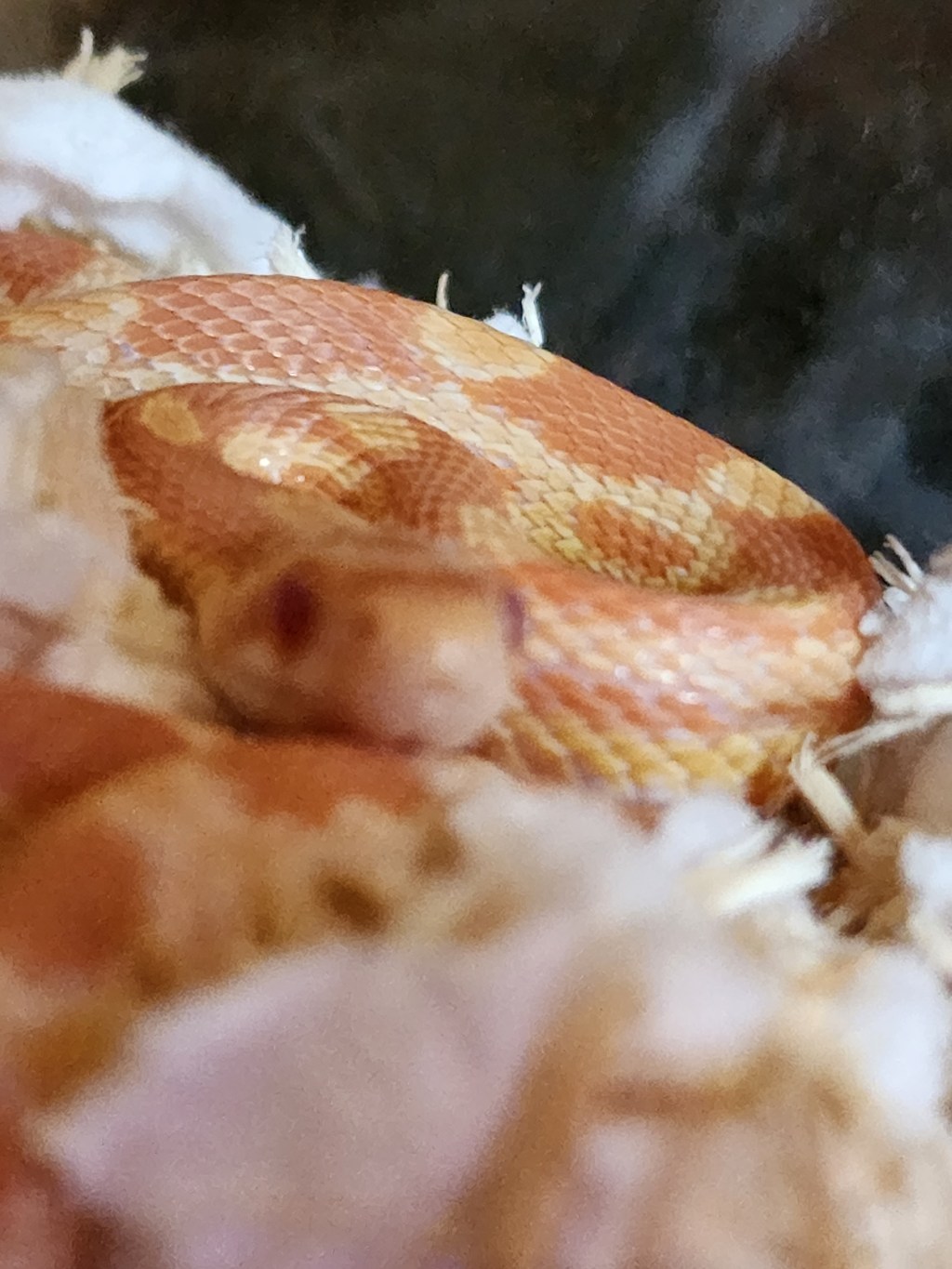 And On to Our Next&nbsp;Adventure.