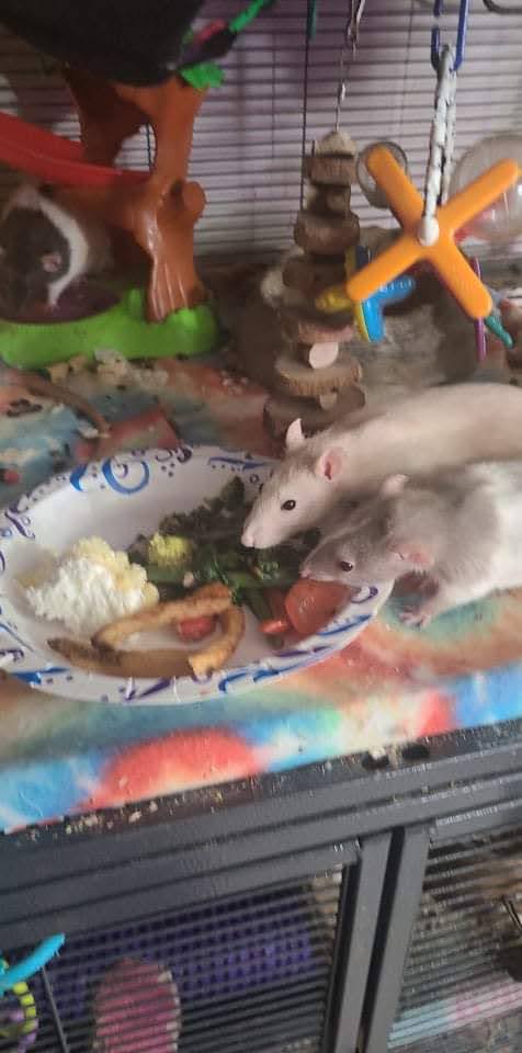 Goodbye; I Will Miss You&nbsp;Forever.