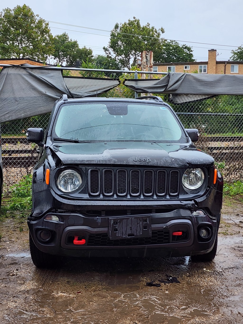 Back from the&nbsp;Dead.