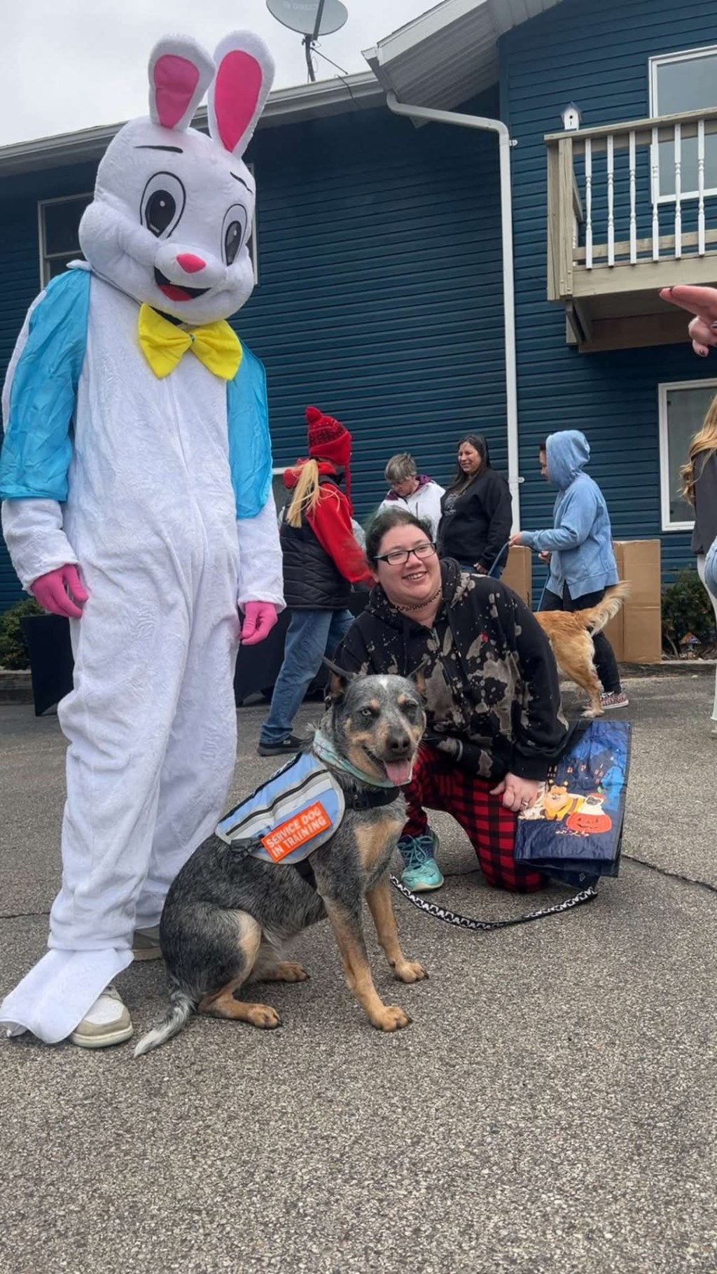 🐾 Ribs, Ribbons, and Rabbit Ears: Belated Gotcha Day&nbsp;Joy