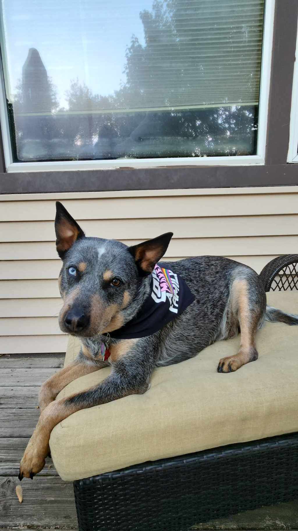 Welcome to Pride Month (From a Queer Disabled Cryptid with a&nbsp;Cane)