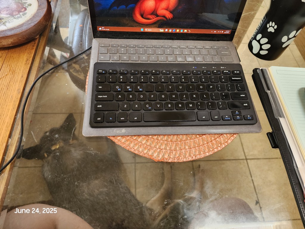  A glass-topped table with a laptop on a round orange placemat. The laptop screen shows a red dragon. To the right is a black water bottle with white paw prints and a notepad. Under the table, barely visible through smudged glass, lies a blue roan-colored australian cattle dog resting on the tiled floor. The photo is dated June 24, 2025.