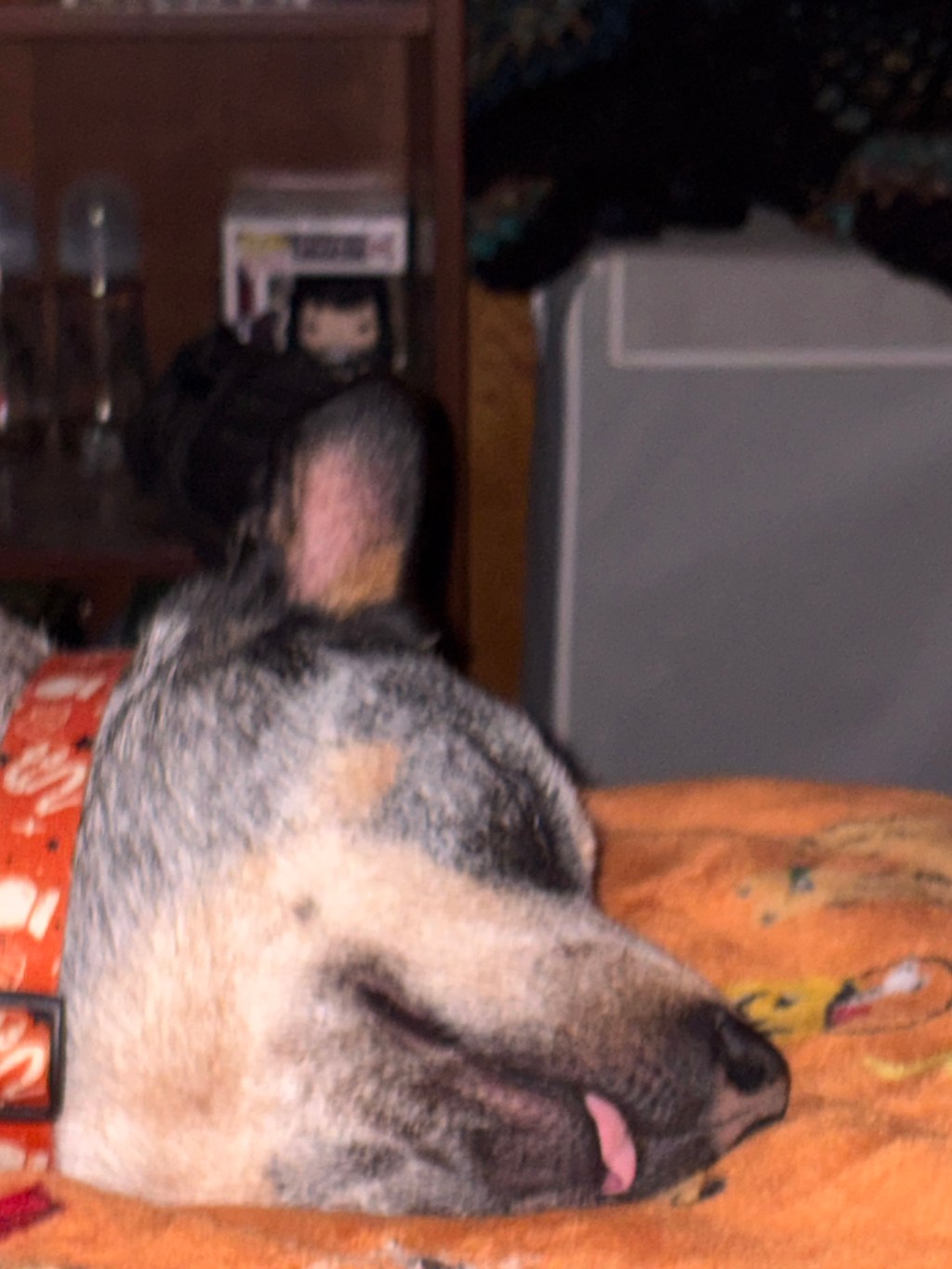 Lanterns in the Dark: An Unplanned Health Update- ER Trip&nbsp;Edition